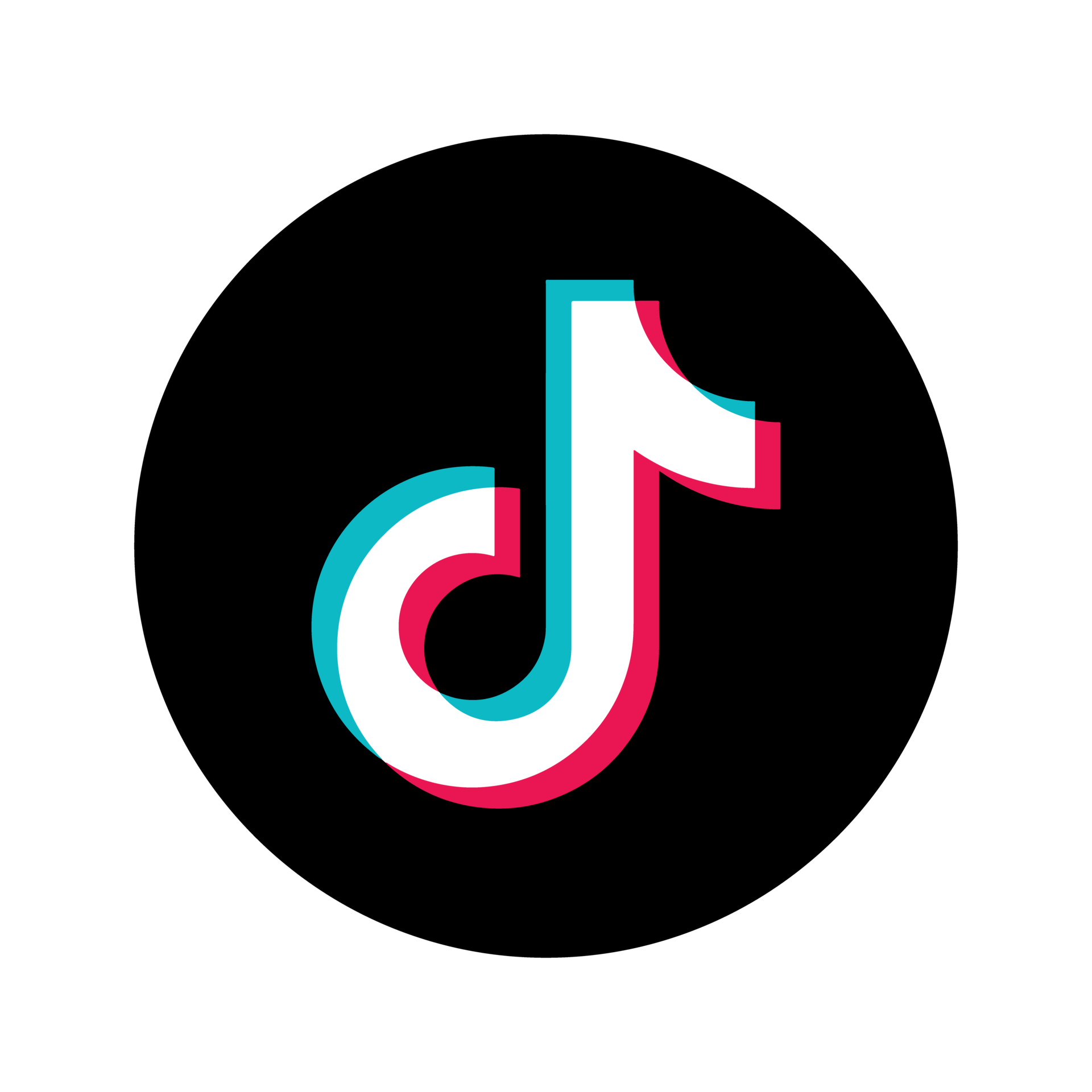 TikTok logo